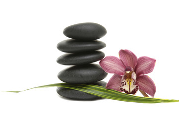 Zen stones and gorgeous pink orchid flower with green plant