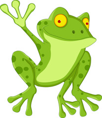 funny frog cartoon