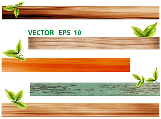 Green leaves with wood, vector illustration