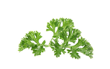 Parsley