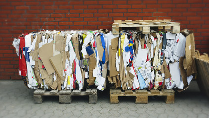 Recycled Cardboard Bundle - obrazy, fototapety, plakaty