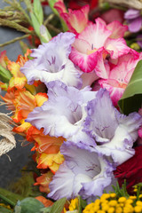 colorful bouquet of gladioli
