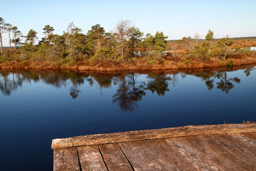 Marsh landscape in Estonia with lake and swimming platform