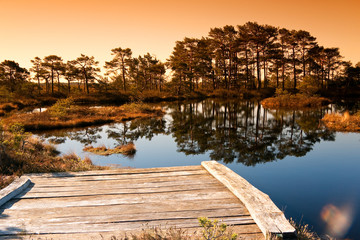 Marsh landscape in Estonia with lake and swimming platform