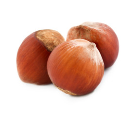 Filberts ( hazelnuts ) isolated on white