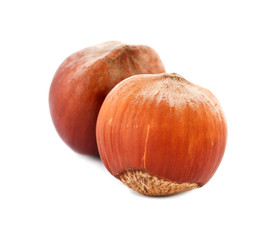 Filberts ( hazelnuts ) isolated on white