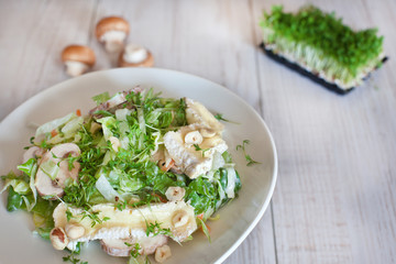 Fresh green salad with mushroom and cress