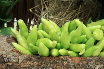 Photo of a large group of vegetables on straw