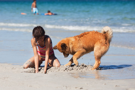 M&auml;dchen und Elowelpe graben am Strand ein Loch