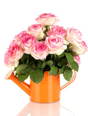 beautiful bouquet of pink roses in watering can, isolated