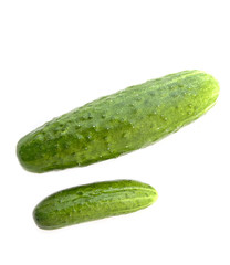 fresh cucumbers isolated on white