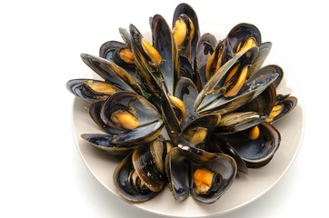 Mejillones