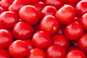 tomaten