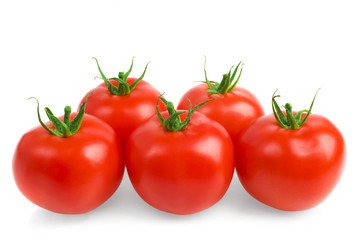 tomatoes