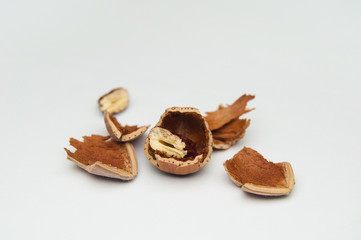 Chestnut