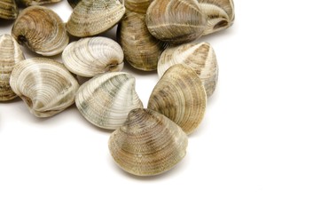 Almejas
