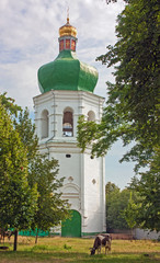 Fototapeta na wymiar Eletsky Monastery, Chernihiv, Ukraine