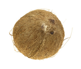 Coconut on white background