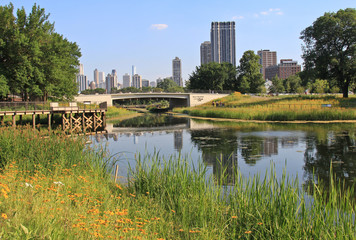 Fototapeta na wymiar Lincoln Park Zoo showing water, flowers and Chicago skyline