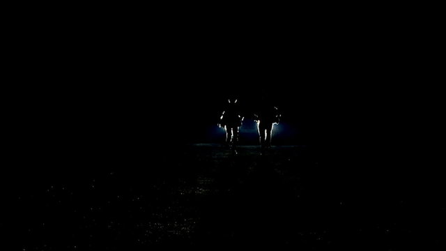 Fugitive