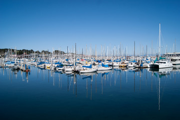 Fototapeta na wymiar Yachts on still water in Monterey harbour