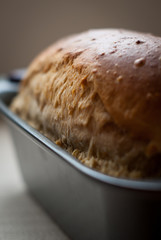 Loaf of bread in tin close up