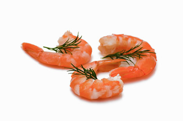 isolated shrimps on the white background