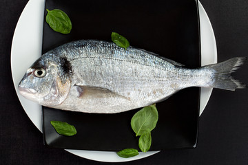 Luxurious seafood concept.