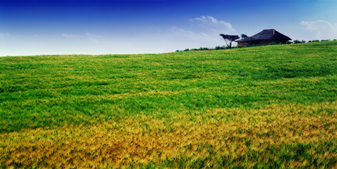 hut on the top of grass hill