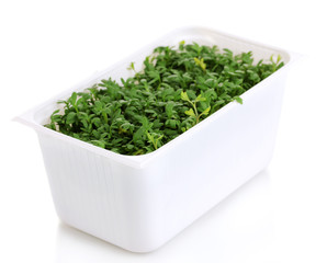 Fresh garden cress in white plastic box isolated on white