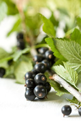 a bunch of black currant close-up