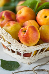 Fresh peaches in a basket