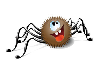 Spider