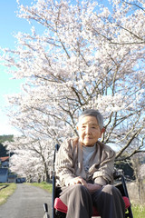 Fototapeta premium 車椅子で散歩をするお婆さん