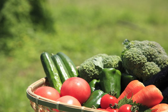 新鮮野菜盛り