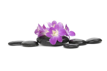 set of orchid with stones on the white background