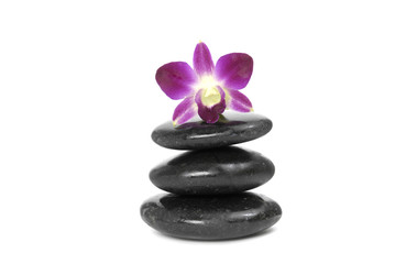 pink orchid on stacked stones