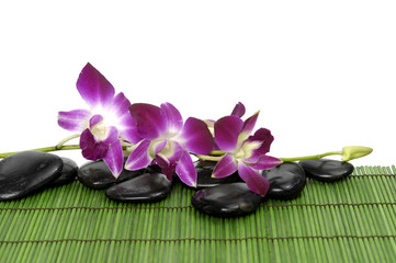 Beautiful orchid with stones on green mat