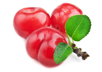 fresh cherry