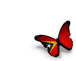 East Timor flag butterfly, isolated on white background