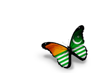 Azad Kashmir flag butterfly, isolated on white background