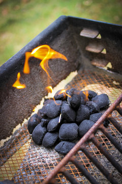 BBQ Anyone?