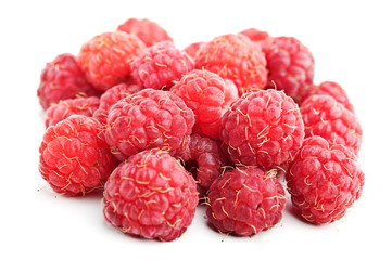 fresh raspberry