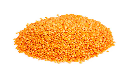 red lentils isolated on white
