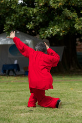 Obraz premium tai chi