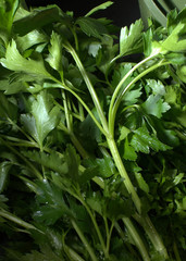 Obraz premium Parsley
