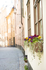 Ulica w starym mieście Sztokholm - 44250129