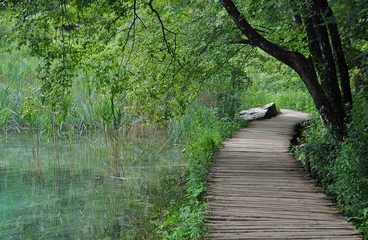 Natur