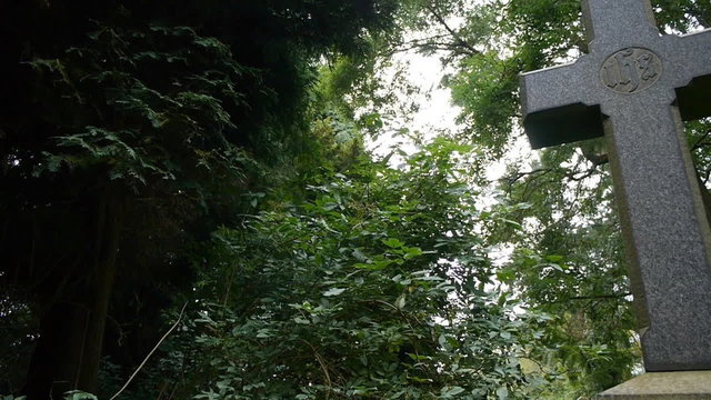 Christian cross. Nature background. Camera move then hold.
