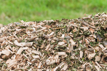 Top of a pile with woodchips